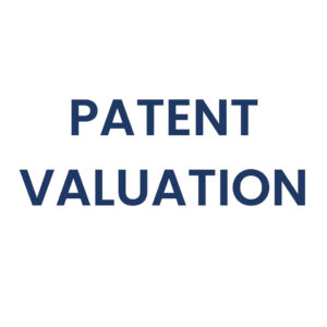 The Value of a Patent Portfolio
